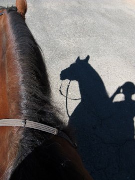 Bini-KateShadow 10-13-14