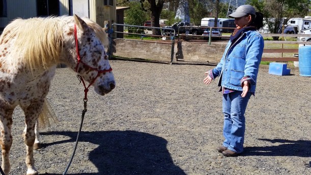 Dottie's Energy Bubble